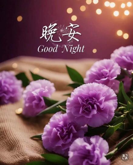 A53C8027-4758-4DFF-9BB0-73B925426D99-31338-00000352675EE3B0