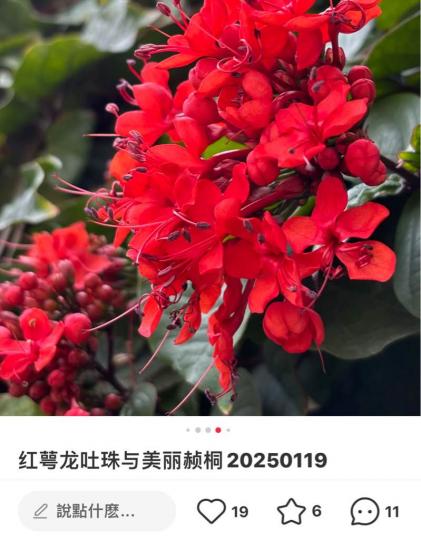 A92103F5-4553-4B70-A7F6-CE6F2301D1A8-83534-0000093C45CB1A4B