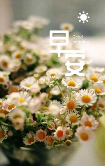 A9FA0E4E-EBEA-40B0-947C-4926AEC3B3AC-63328-000006ABB32D5BCD