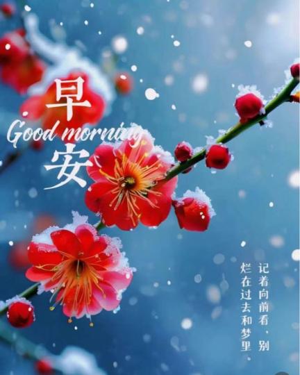 BCA0A89C-AFDF-4595-9E02-3A33CFAB115C-61872-000004BC64C28C27