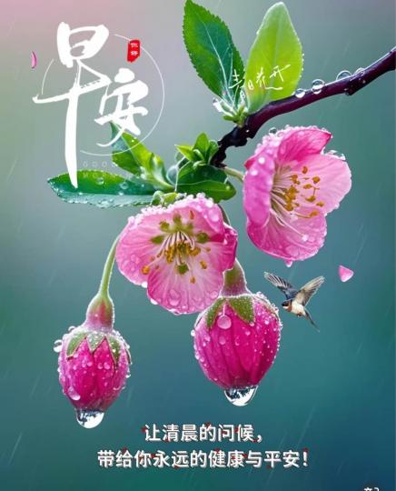 BD12169E-7F7A-4F63-AE19-E67C076ADFF8-24633-00000299F55E8368