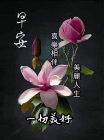BDEE8BFE-1348-49B9-A6DD-DBA9597E4C5F-11685-000001E390E56F3C