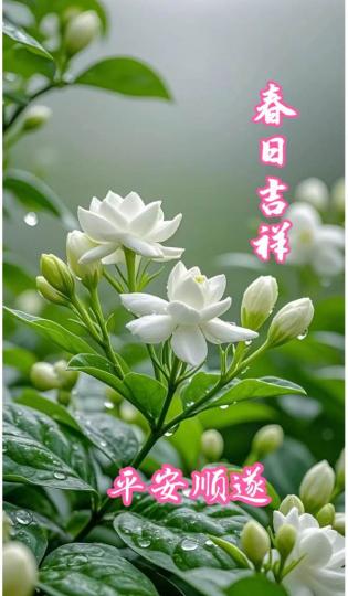 BE686468-114A-4C6B-A4C7-B84C2CED0249-41853-00000465A50810E1