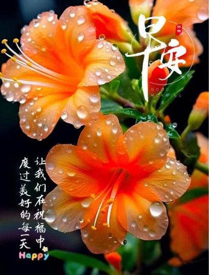 C66D45B5-E050-4B13-8F56-AF48091BC640-262-000000033BDBFEE4