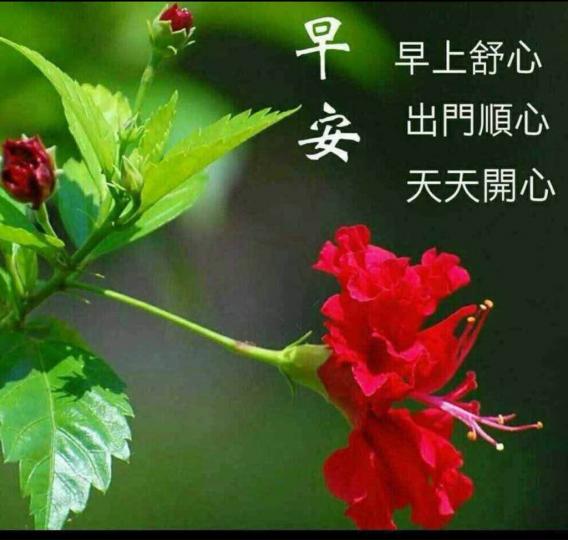 CB02C0B7-4E0B-415A-BC6C-B0728776E49A-75321-00000822A87E0221