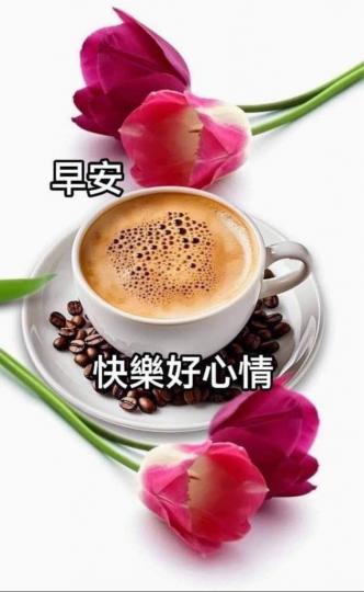 CB68D1A1-6D5C-4AEE-8479-97428ECE2F1E-20968-0000024EC6231B0F
