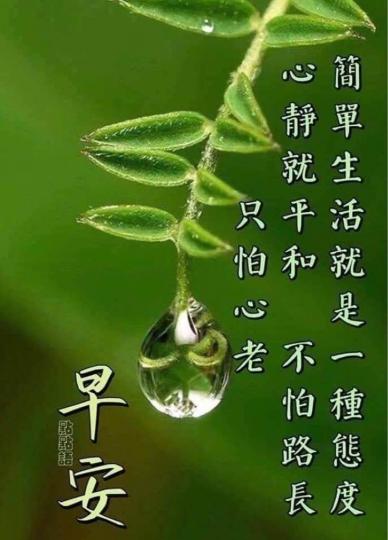 E3601D33-BBBA-4A73-8A80-390A2A4F9B77-4789-000000C246258027