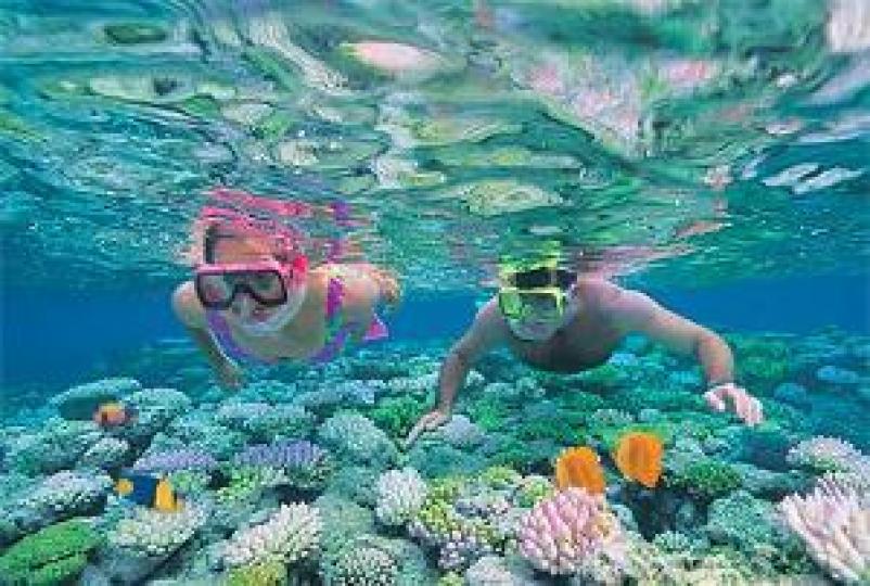 大堡礁是世界上最大最
長的珊瑚礁區,是世界
七大自然景觀之一,是澳
大利亞人引以爲自豪的
天然景觀,被稱爲"透明
清澈的海中野生王國...