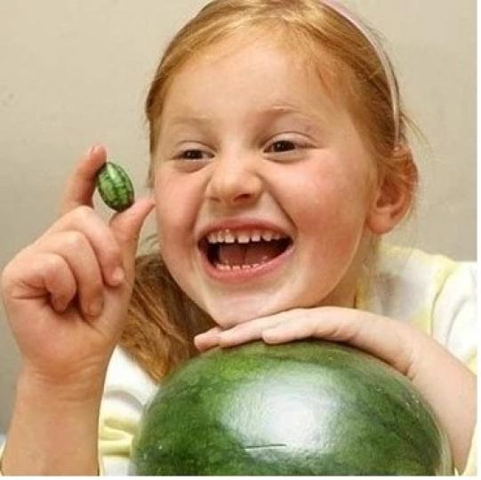 世界上最小的西瓜,衹有3
厘米長,比普通西瓜小20倍
外皮柔滑細嫩,內爲青綠色
口感如黃瓜清脆可口。...