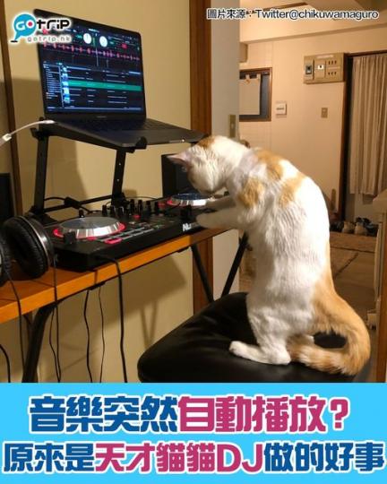貓咪DJ好可愛啊
🐱扮得入型入格！...