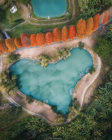 超夢幻的愛心池塘你知道在台灣的哪裡嗎？...