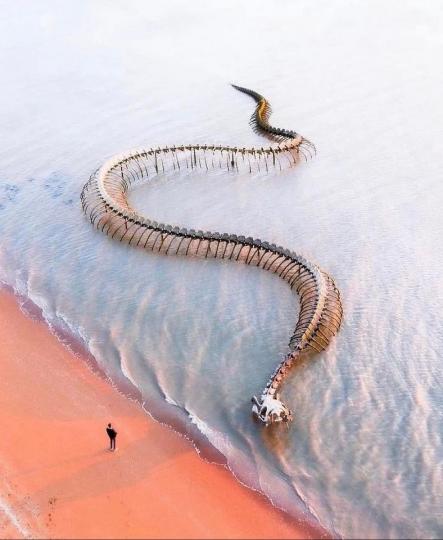 藝術家在法國盧瓦爾河擺出「海洋之蛇」鋁製雕塑...