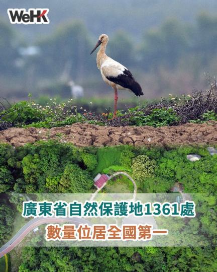 廣東現有各類自然保護地1361處 數量位居全國第一...
