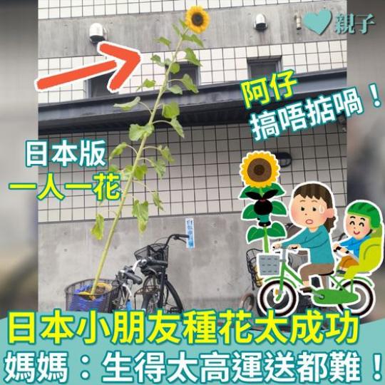 香港嚟講，每年嘅「一人一花」...