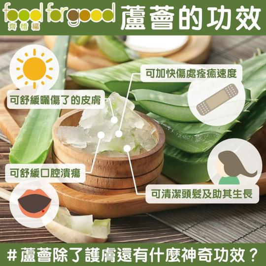 蘆薈是一種熱帶植物,不少人會使用蘆薈來美容護膚,其實是因為葉片內富含生物活性化合物,如維他命、礦物質、胺基酸、抗氧化劑等。不過原來仲有其他功效可以幫助我們身體上的小煩惱!... 蘆薈是一種熱帶植物,不少人會使用蘆薈來美容護膚,其實是因為葉片內富含生物活性化合物,如維他命、礦物質、胺基酸、抗氧化劑等。不過原來仲有其他功效可以幫助我們身體上的小煩惱!...