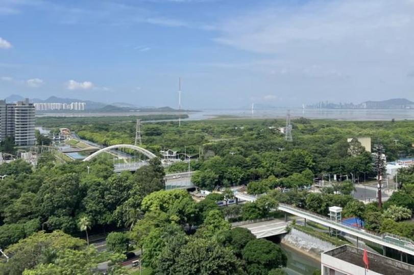 去福田新洲走走 .......