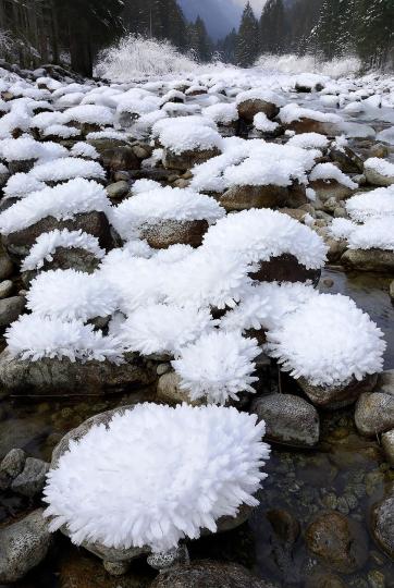 石頭被覆上厚厚的積雪，遠遠看去好像整片雪白的繡球花...