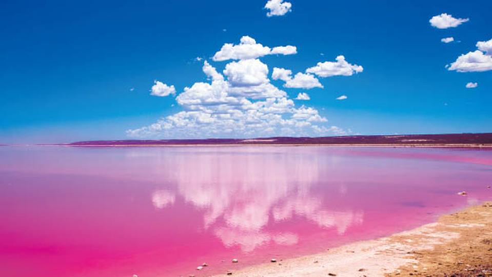 位於西澳洲的粉紅色潟
湖,美麗如畫,成爲一熱
門旅遊景點...