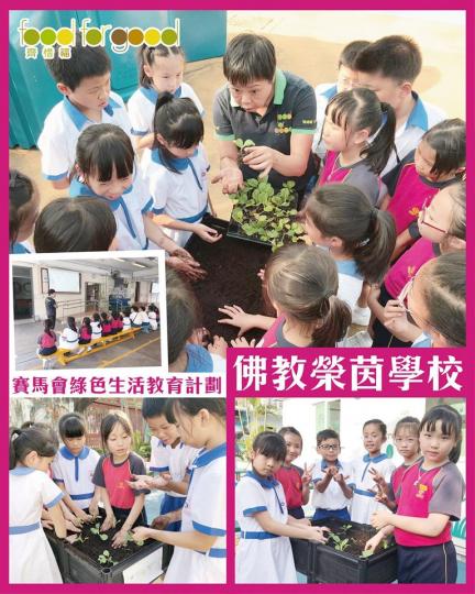 佛教榮茵學校嘅同學透過我們的計劃有一年的時間體驗有機種植,成為了小農夫。透過計劃,同學們明白到食物是得來不易,也知道了珍惜食物的重要性!... 佛教榮茵學校嘅同學透過我們的計劃有一年的時間體驗有機種植,成為了小農夫。透過計劃,同學們明白到食物是得來不易,也知道了珍惜食物的重要性!...