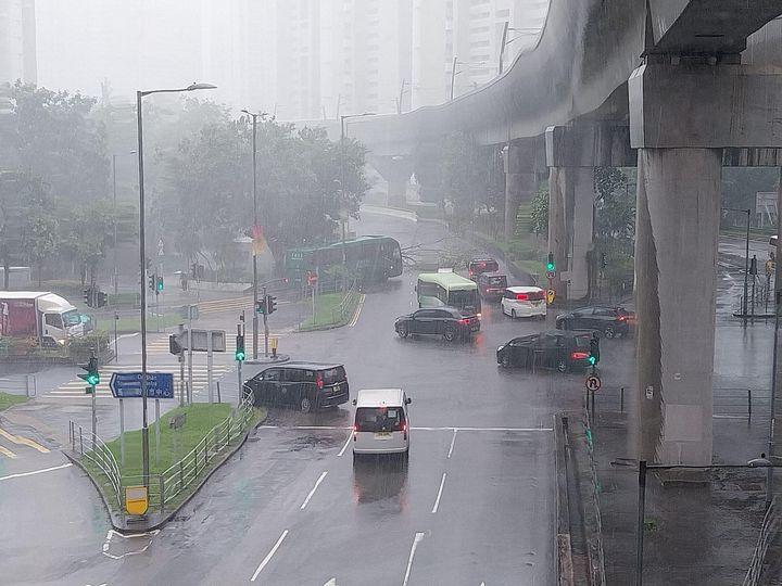 馬鞍山狂風暴雨有冧樹.....