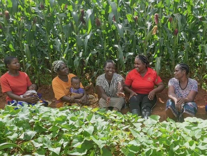 Malawian student uses Chinese farming techniques to plant seeds... Malawian student uses Chinese farming techniques to plant seeds...