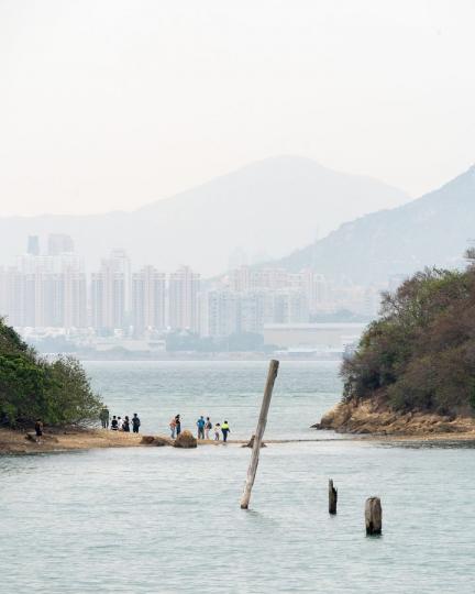 陰澳最為人熟知的是「水上木頭」。幼時乘機鐵越過陰澳已覺奇怪：何以此處水上插有木頭？長大後才知上世紀中香港木業興旺，從東南亞運來大量木頭。...