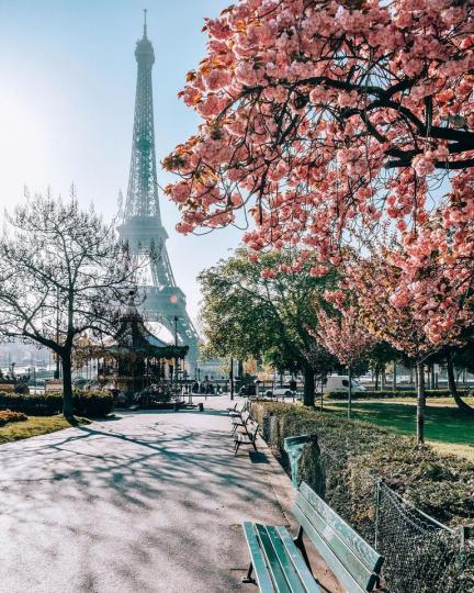 在日光下朦朧的巴黎鐵塔，配上春季限定的粉嫩櫻花...