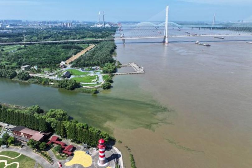 長江與秦淮新河「涇渭分明」...