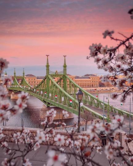 布達佩斯的浪漫自由橋...