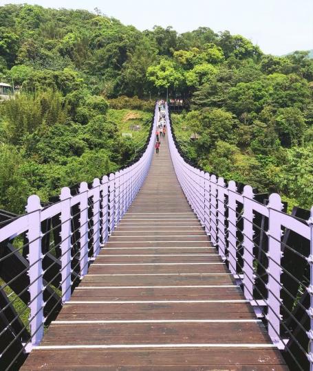你知道這條「芋頭紫吊橋」位在台灣的哪裡...