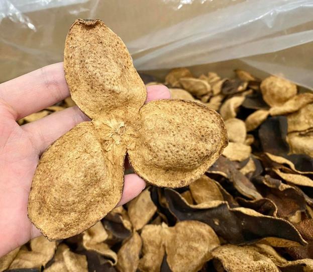 陳皮,可以選擇年份淺d又完整d,但果味強d
陳味一定未夠15年/30年以上好
但健脾開胃化濕煲湯燉湯都綽綽有餘... 陳皮,可以選擇年份淺d又完整d,但果味強d
陳味一定未夠15年/30年以上好
但健脾開胃化濕煲湯燉湯都綽綽有餘...