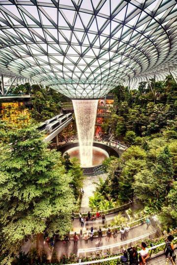 新加坡的樟宜機場以清新的花園叢林著名...