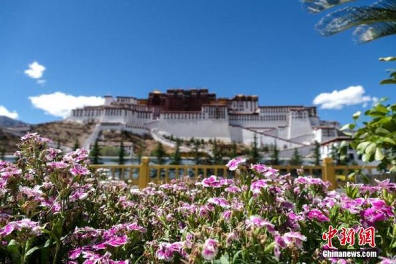 西藏布達拉宮夏日風光秀麗...