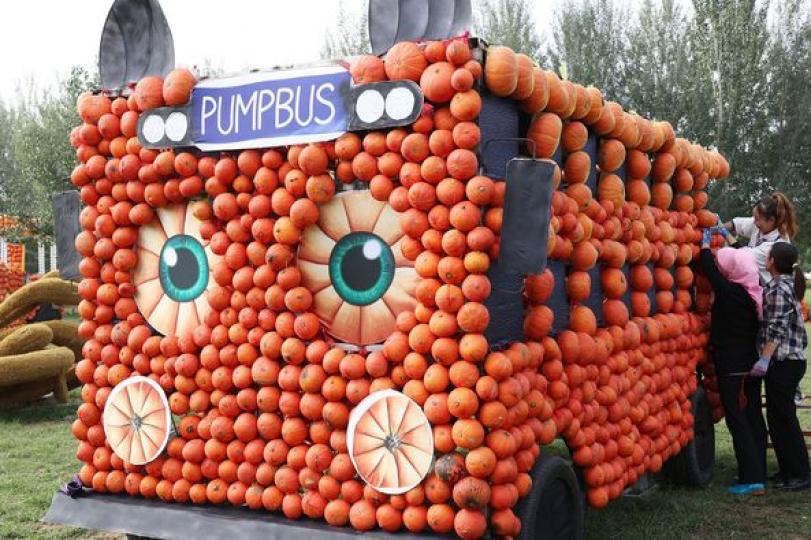 The "Pumpkin Kingdom" ......