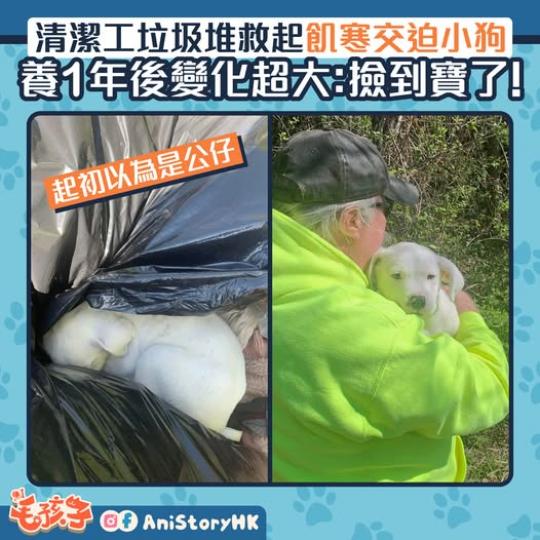 成為了彼此的寶藏.........