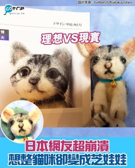 日本有位網友購買了一份貓咪圖案的羊毛氈公仔套裝進行DIY，但完成品竟然變成芝娃娃的樣貌，感到超崩潰...