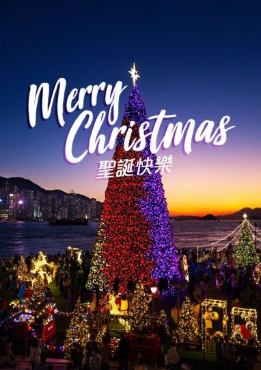 西九龍欣賞巨型聖誕樹，好有節日氣氛...