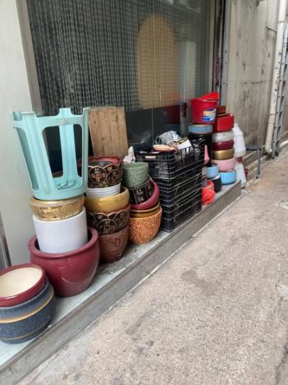 炮仗街花鋪退休........