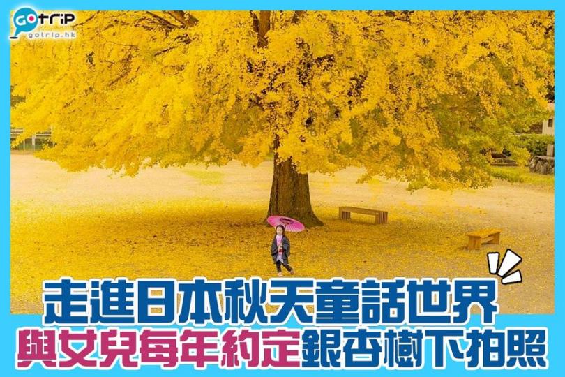 日本攝影師爸爸河童兄的IG帳戶中，每年都會為女兒拍攝銀杏樹下的照片，更連續兩年都到鳥取日南町日野上小學的百年銀杏樹取景...