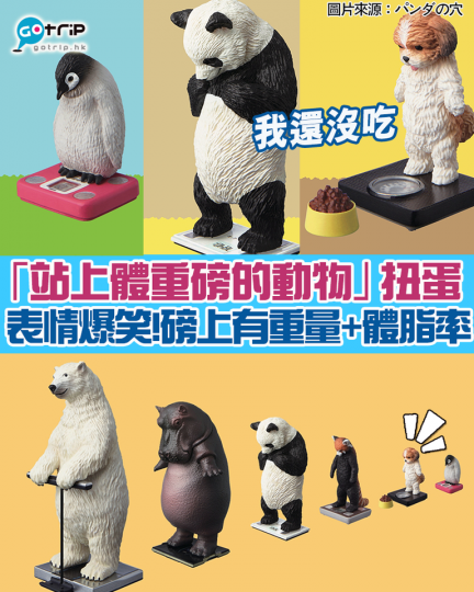 日本玩具公司「熊貓之穴」與TANITA合作，推出全新系列「站上體重機的動物...