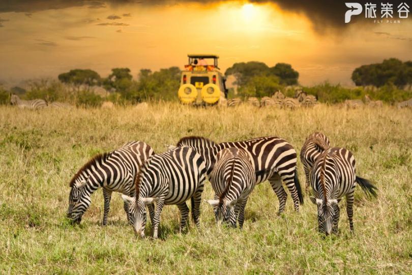 肯亞最著名的自然保護區 - 馬賽馬拉國家保護區...