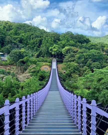 超可愛的「芋頭紫景觀吊橋」...