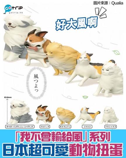 日本扭蛋公司Qualia 推出「我不會輸給風」系列的動物扭蛋，超得意啊...