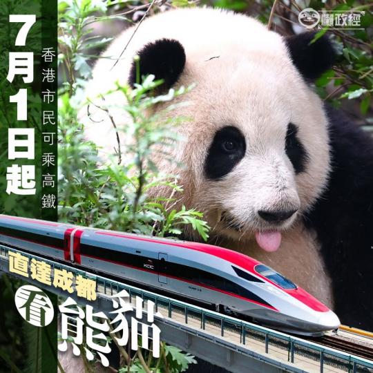 7月1日起香港市民可乘高鐵 直達成都看熊貓...