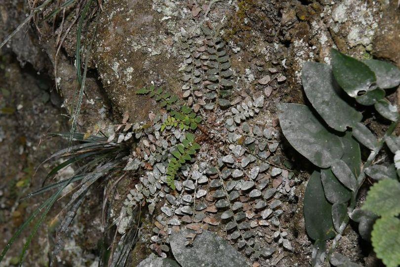 好玩之餘收益仲全部捐畀公益金...