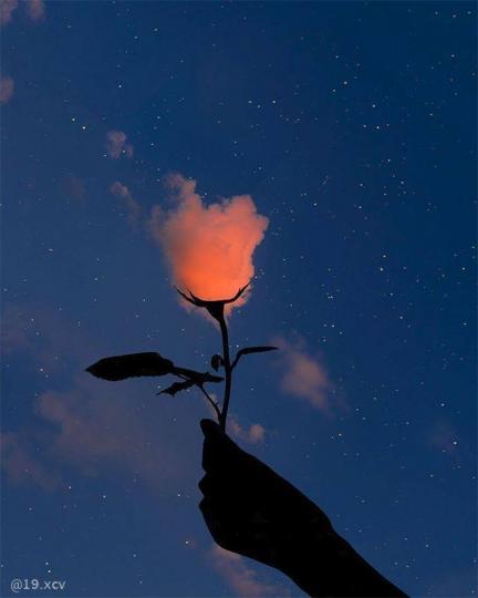 摘下一朵來自天空的玫瑰，親手送到你的窗前...
