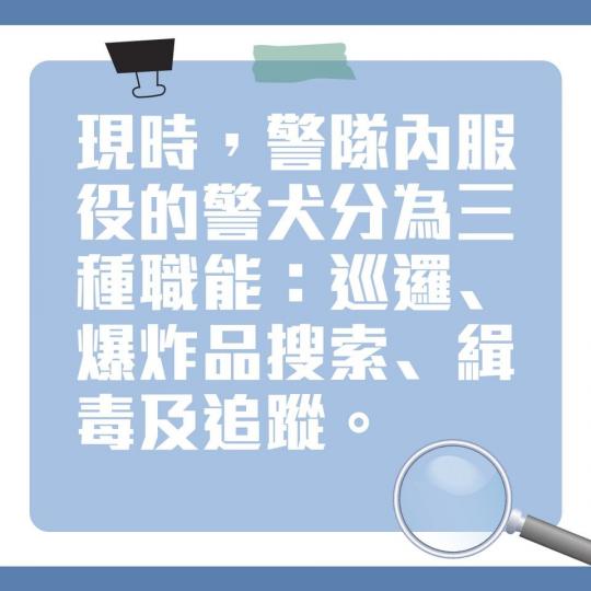 大家有冇留意到《守城》片中爆炸品搜索犬協助搜索炸藥的情節?警犬既可愛又精叻,大家又知唔知道警犬分幾多種職能呢?... 大家有冇留意到《守城》片中爆炸品搜索犬協助搜索炸藥的情節?警犬既可愛又精叻,大家又知唔知道警犬分幾多種職能呢?...