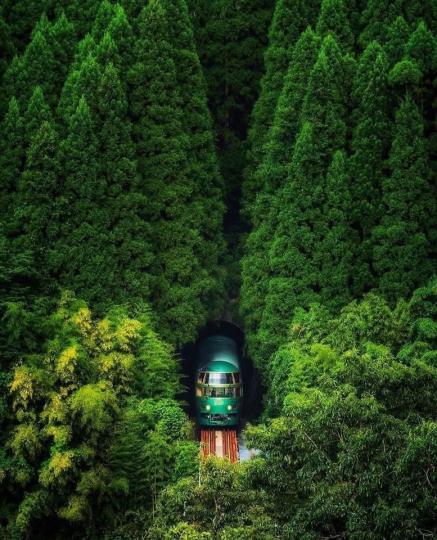 日本由布院的火車穿越森林...
