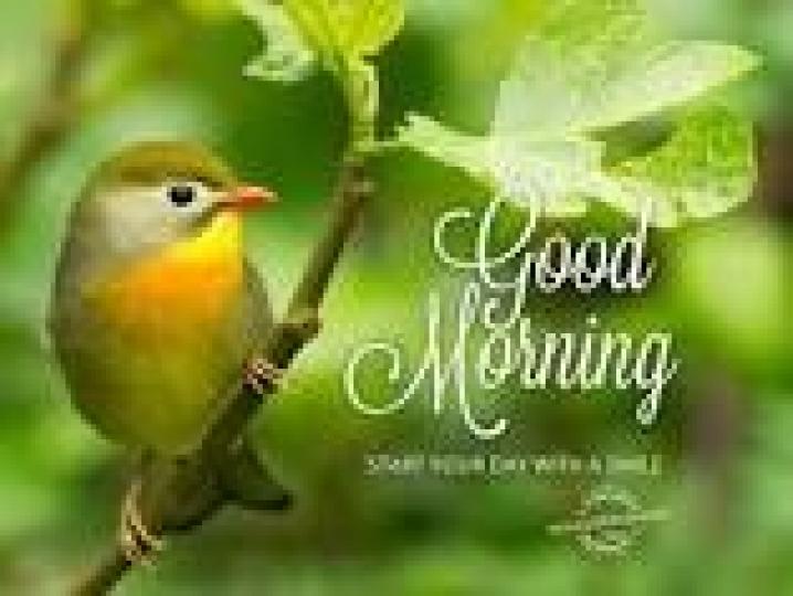 各位早上好:
樹上的小鳥為你歌唱,
享受美好陽光!...