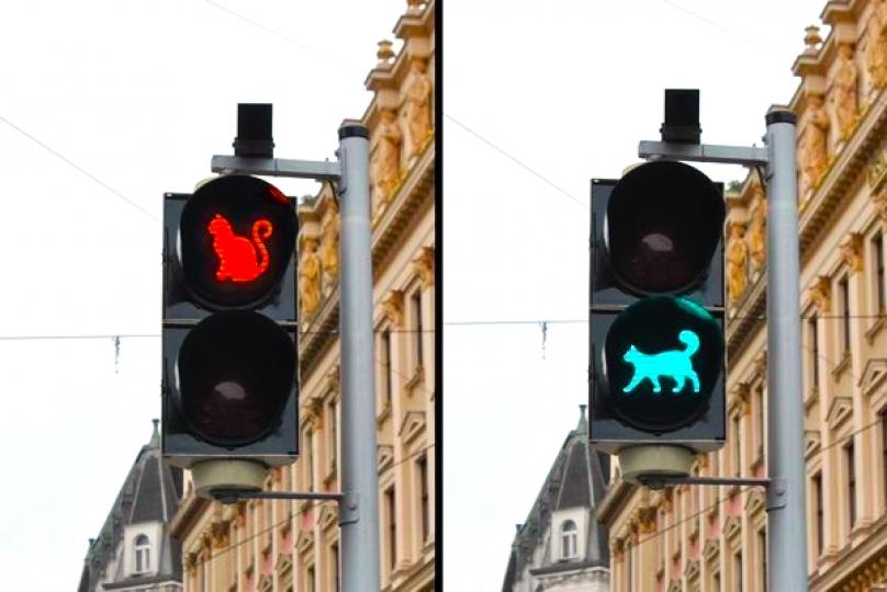 交通號誌燈竟然有貓咪版本...